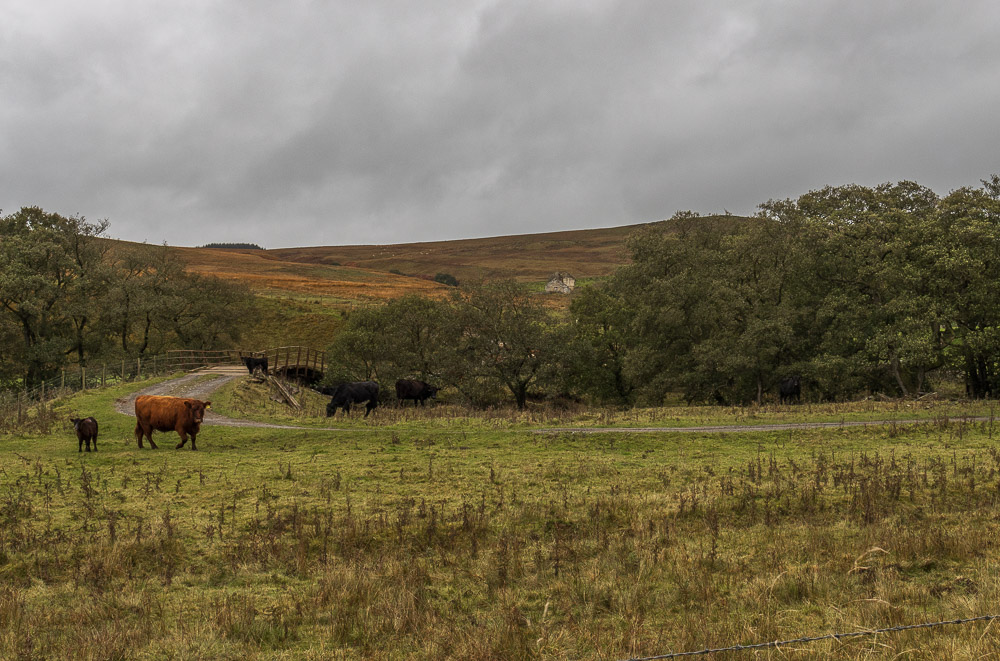 Cadger Ford